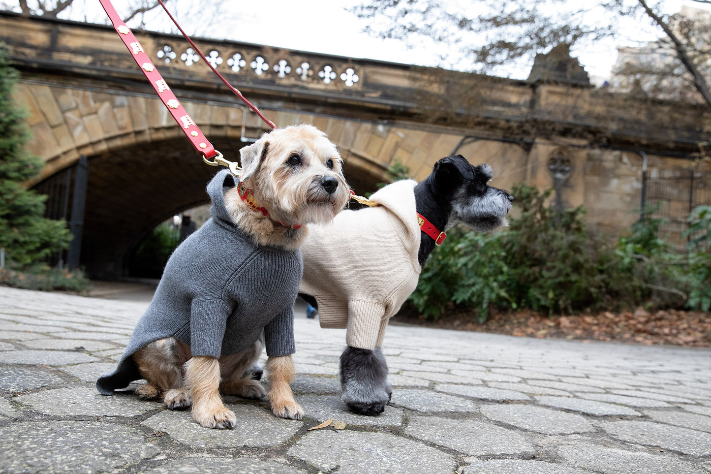 Dog Collars - Original St. Moritz Collar - 3 Color Options