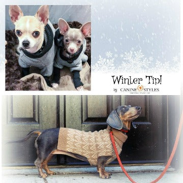 **Winter Tips - Dogs get cold too! **