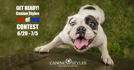 Yankee Doodle Dandies Dog Contest