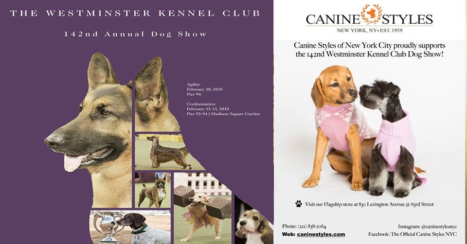 Canine Styles Salutes the Dogs of the Westminster Show!