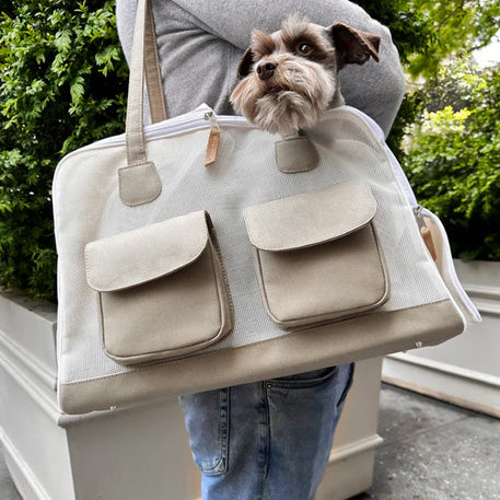 Are Dog Carriers Good for Dogs?