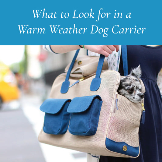 What to Look for in a Warm Weather Dog Carrier