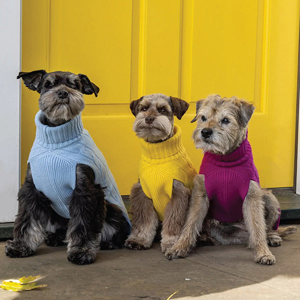 Canine Styles’ Famous Cashmere Sweater!