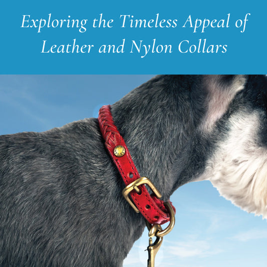 Exploring the Timeless Appeal: Leather and Nylon Collars