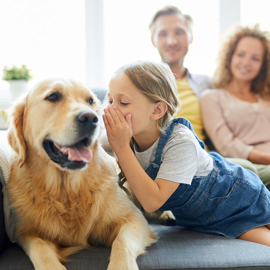 Decoding Dog Communication: Unraveling the Canine Language