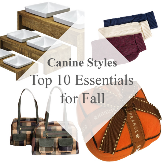 Canine Styles’ Top 10 Fall Essentials for Dogs