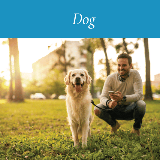 Dog Park Etiquette
