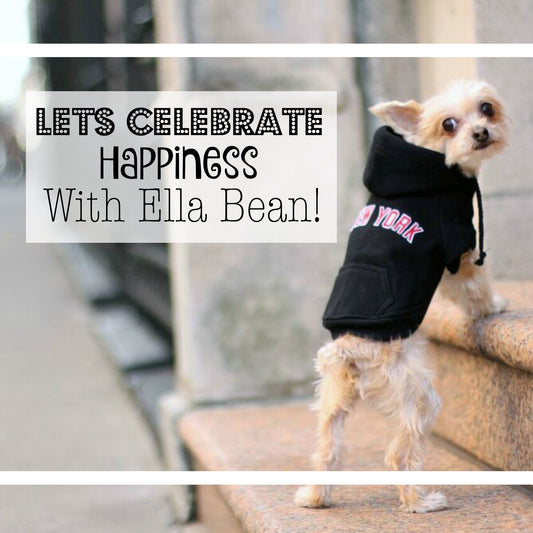 Lets Celebrate happiness