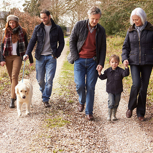 Choosing a Great Family Dog