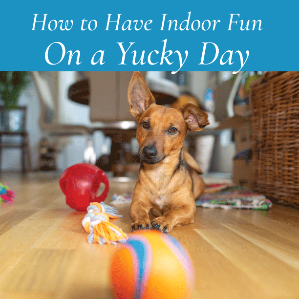 How to Have Fun On a Yucky Day