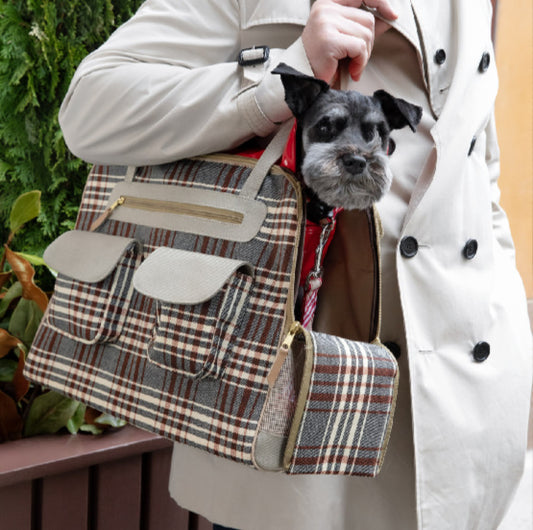 Dog Accessories You Can’t Live Without