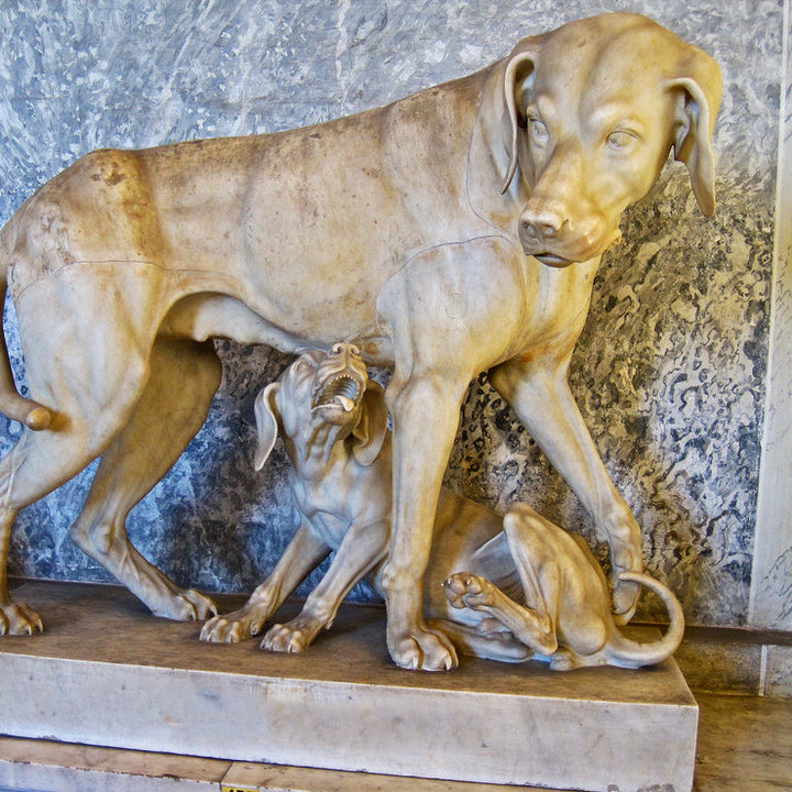 Dog Booties Guide Dog Boot Size Chart Canine Styles