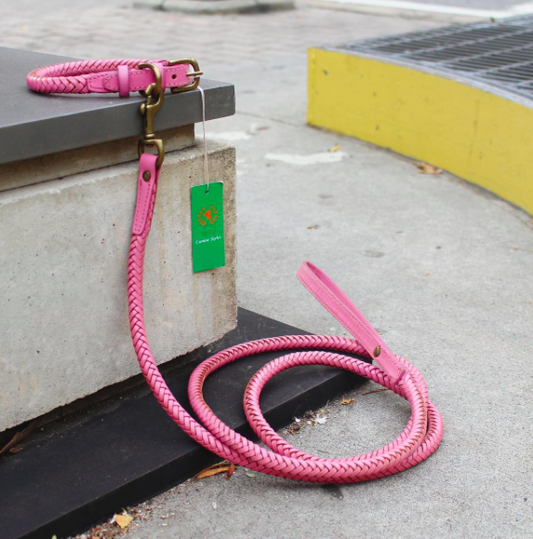 Dog Collar Sizing Guide