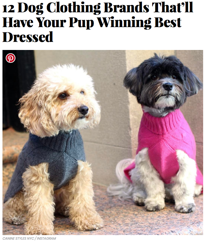 03/17 - InStyle Names 12 Dog Clothing Brands That’ll Have Your Pup Winning Best Dressed