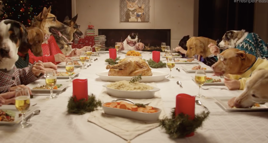 Best Thanksgiving Dinner for You and Your Dog