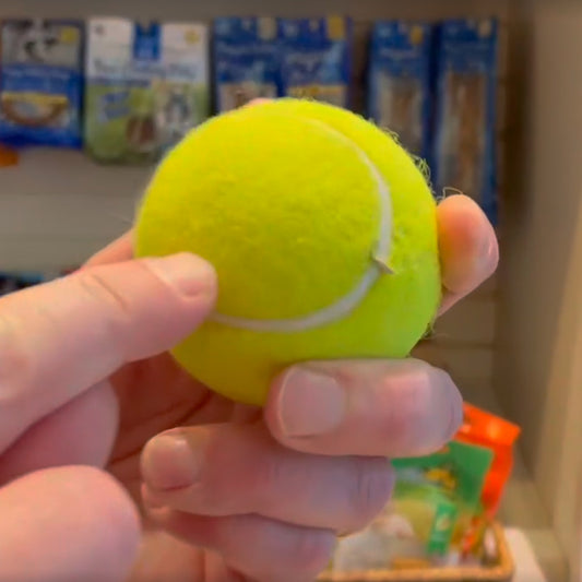 Canine Styles: It's Tennis Season!