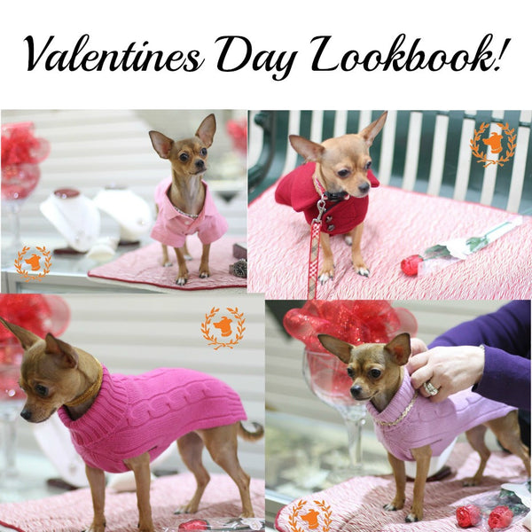 Valentines Day Dog Clothing Lookbook