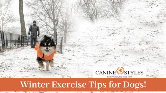Winter Exercising Tips by Canine Styles