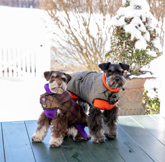 Winter Fashion Trends