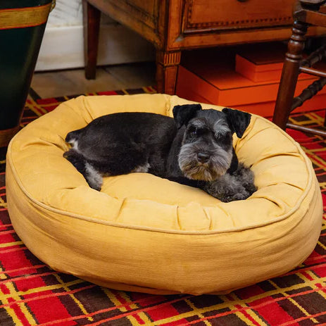 The Ultimate Guide to Dog Beds for Small Dogs – Canine Styles