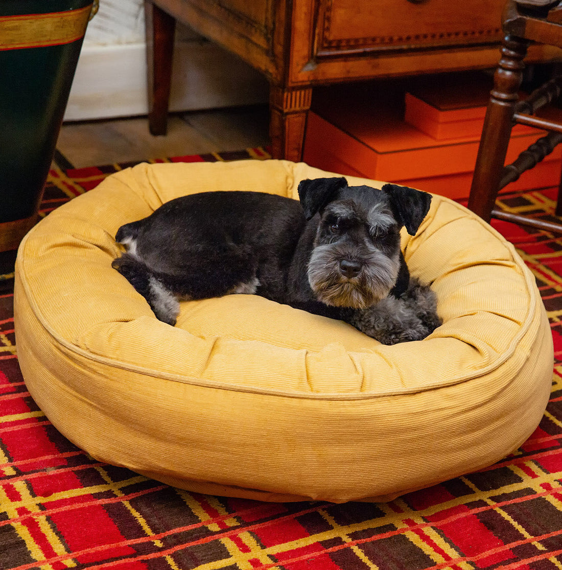 Time for New Furniture? Don’t Forget a New Dog Bed!