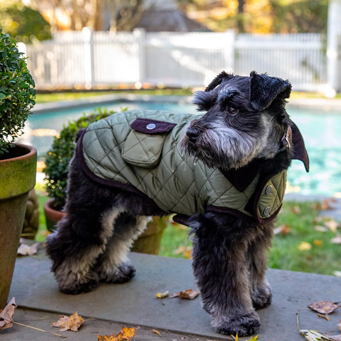 The Classic Barn Coat from Canine Styles