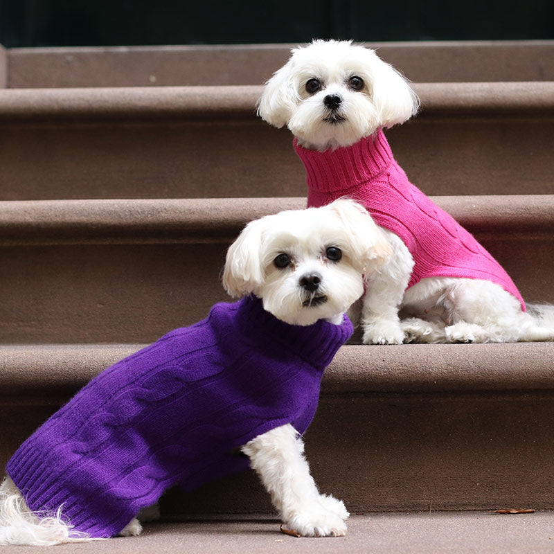 Fall Fashions for Your Pooch