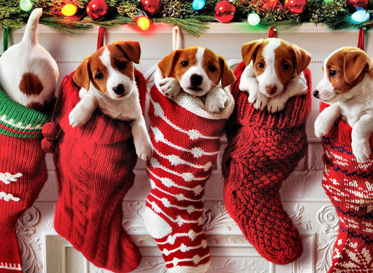 What You Need to Know Before Getting a Dog for Christmas