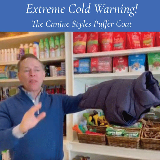 Extreme Cold Couture!