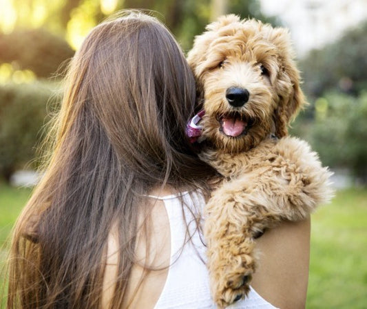 Canine Styles Guide to Dogs and Dating