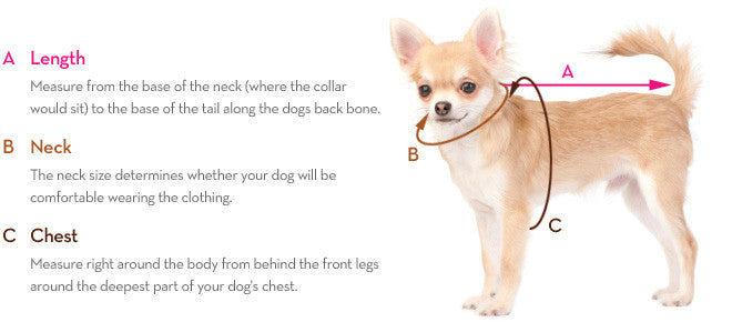 Canine Styles Dog Measuring Guide