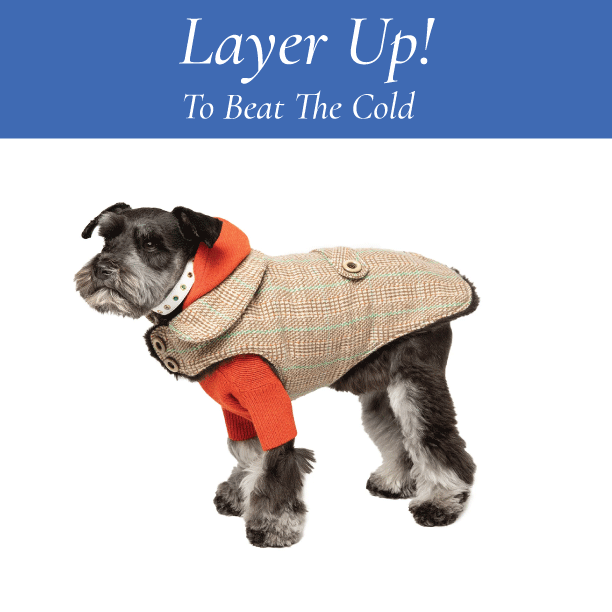 Beat the Cold With Layers!