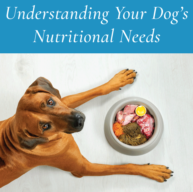 Dog 2024 nutrition guide