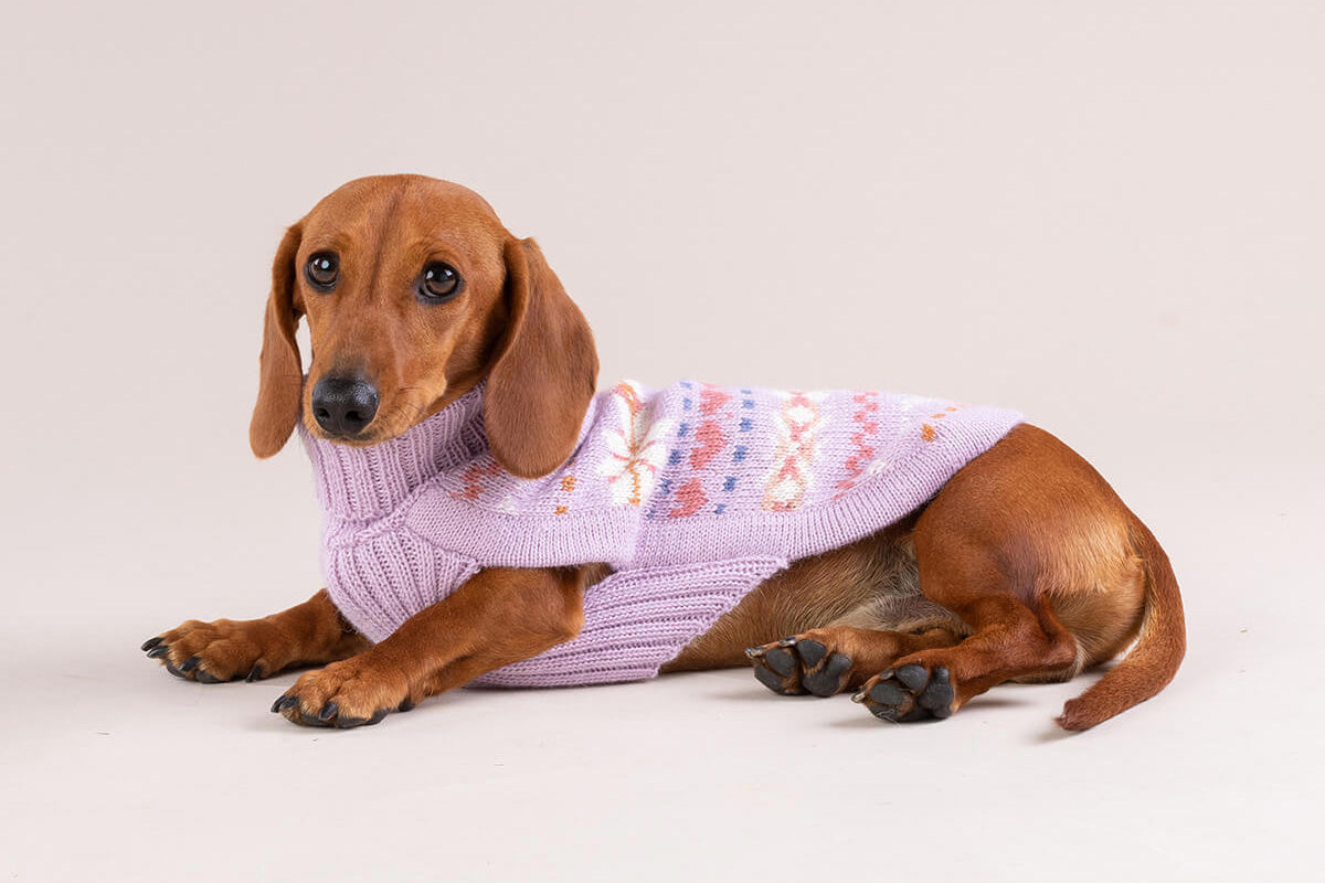 Dog Sweater - Lavender Sunrise Alpaca Dog Sweater