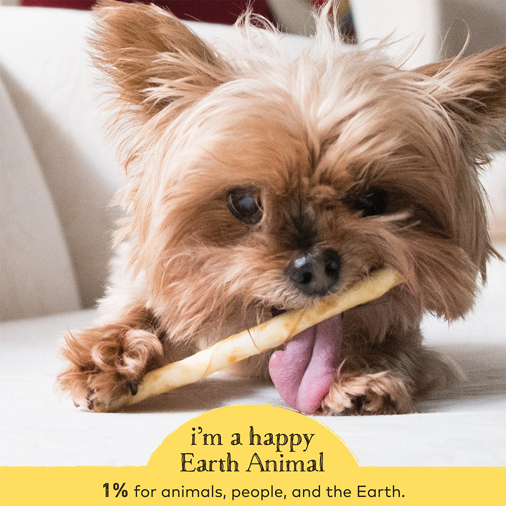 Earth Animal No Hide Venison Chews Dog Treats, 10 Pack Stix