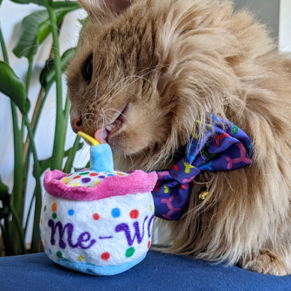 Mewow Cake Plush Cat Toy