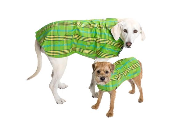 Dog Coat - Raincoat, Waxed Signature Green Plaid