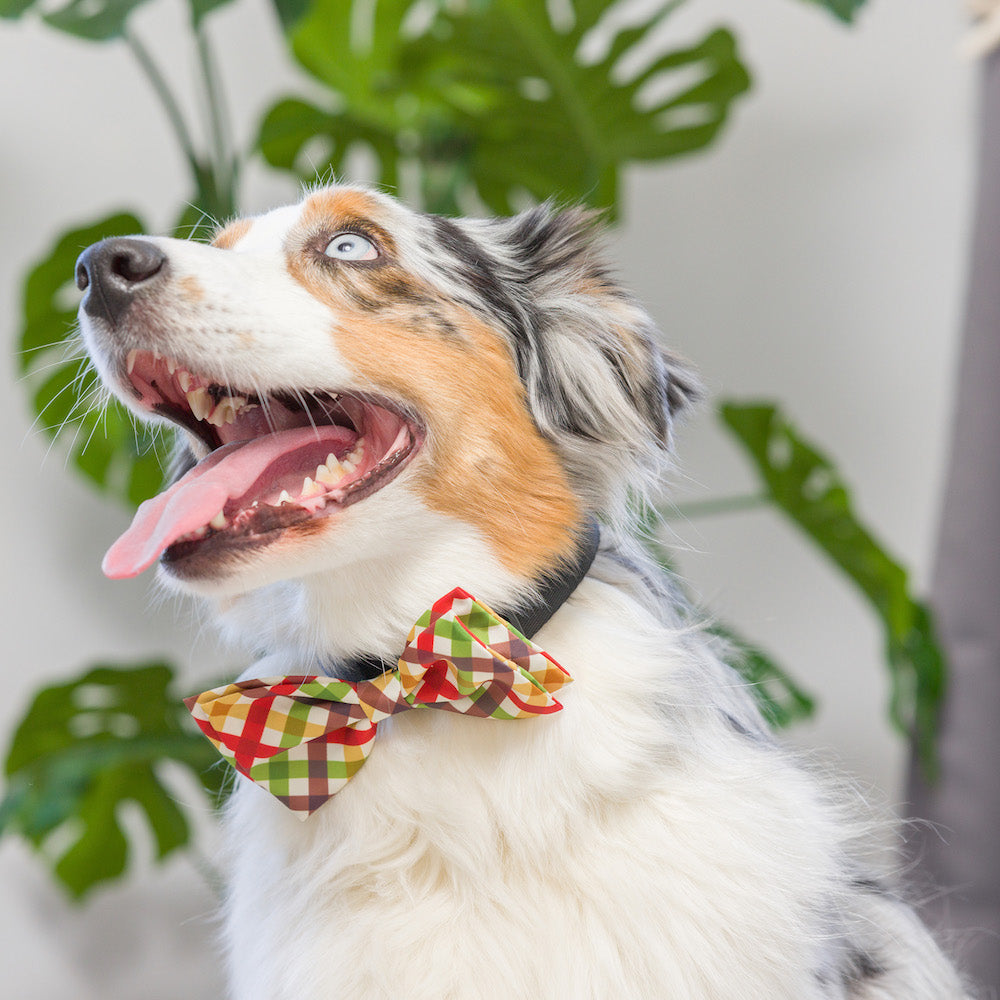 Harvest Check Bow Tie
