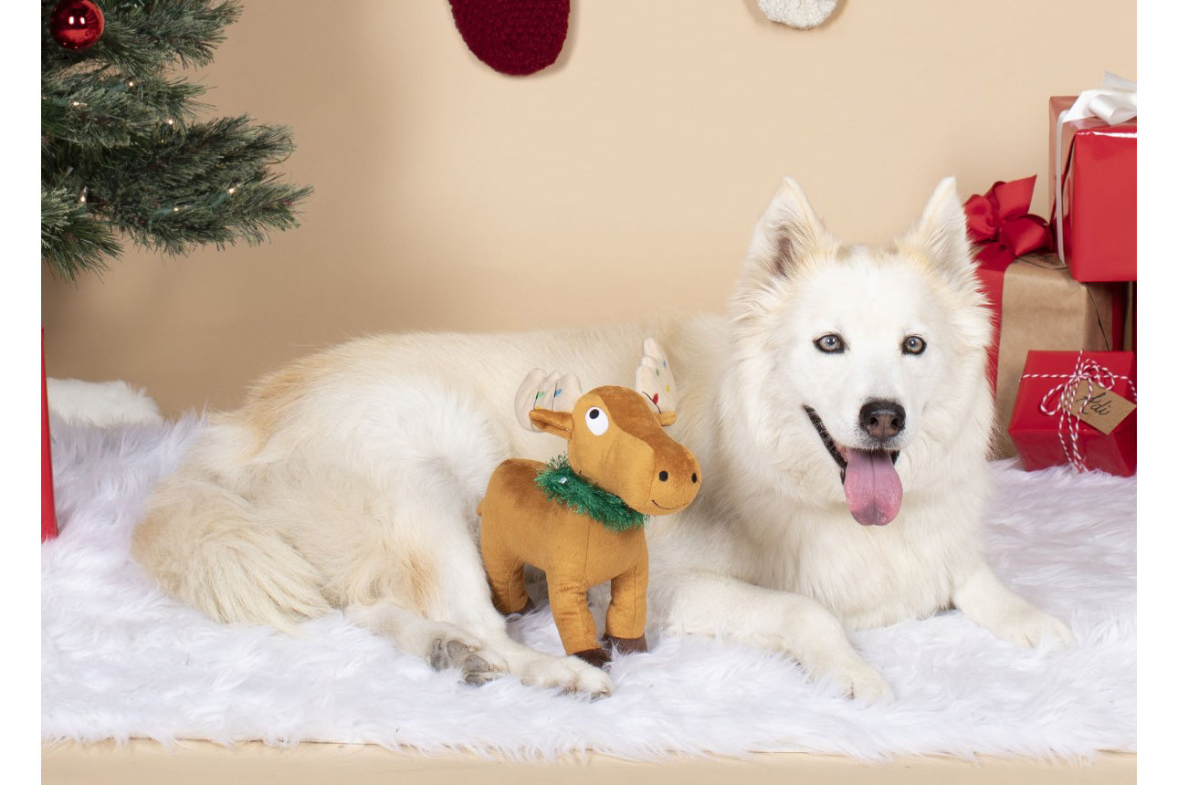 Christmas - Merry Chrismoose Plush Dog Toy