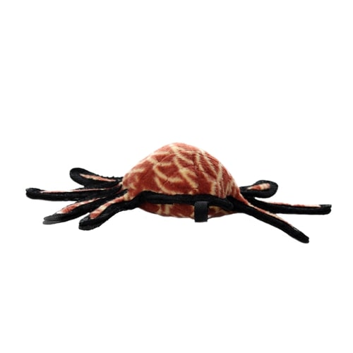 Tuffy® Desert Series Harry the Hobo Spider Canine Styles