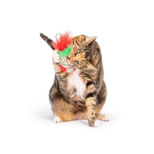 Feline - Christmas Stocking Flinger - Cat Toy