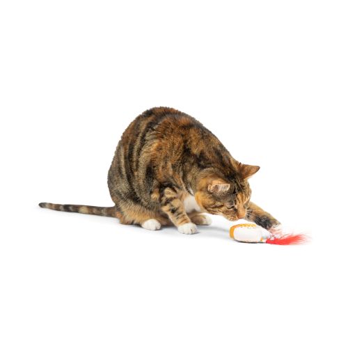 Feline - G-House - Cat Toy