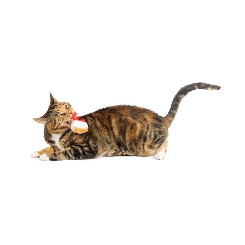 Feline - G-House - Cat Toy