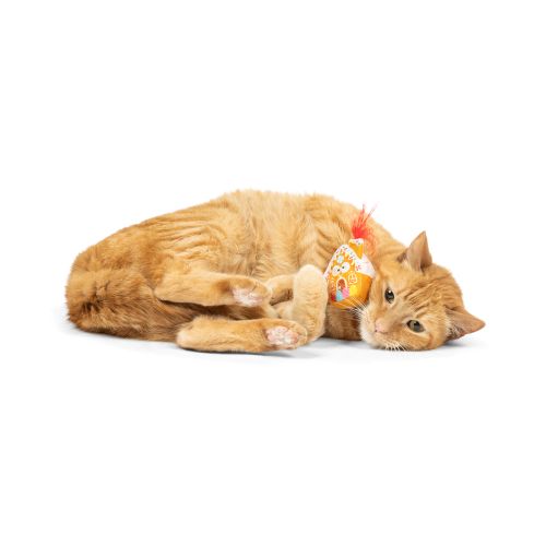 Feline - G-House - Cat Toy