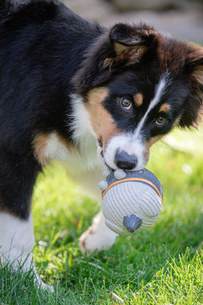 Dog Toy - Ruff-Tex Mutt Latex Balls Dog Toys - 3 Options