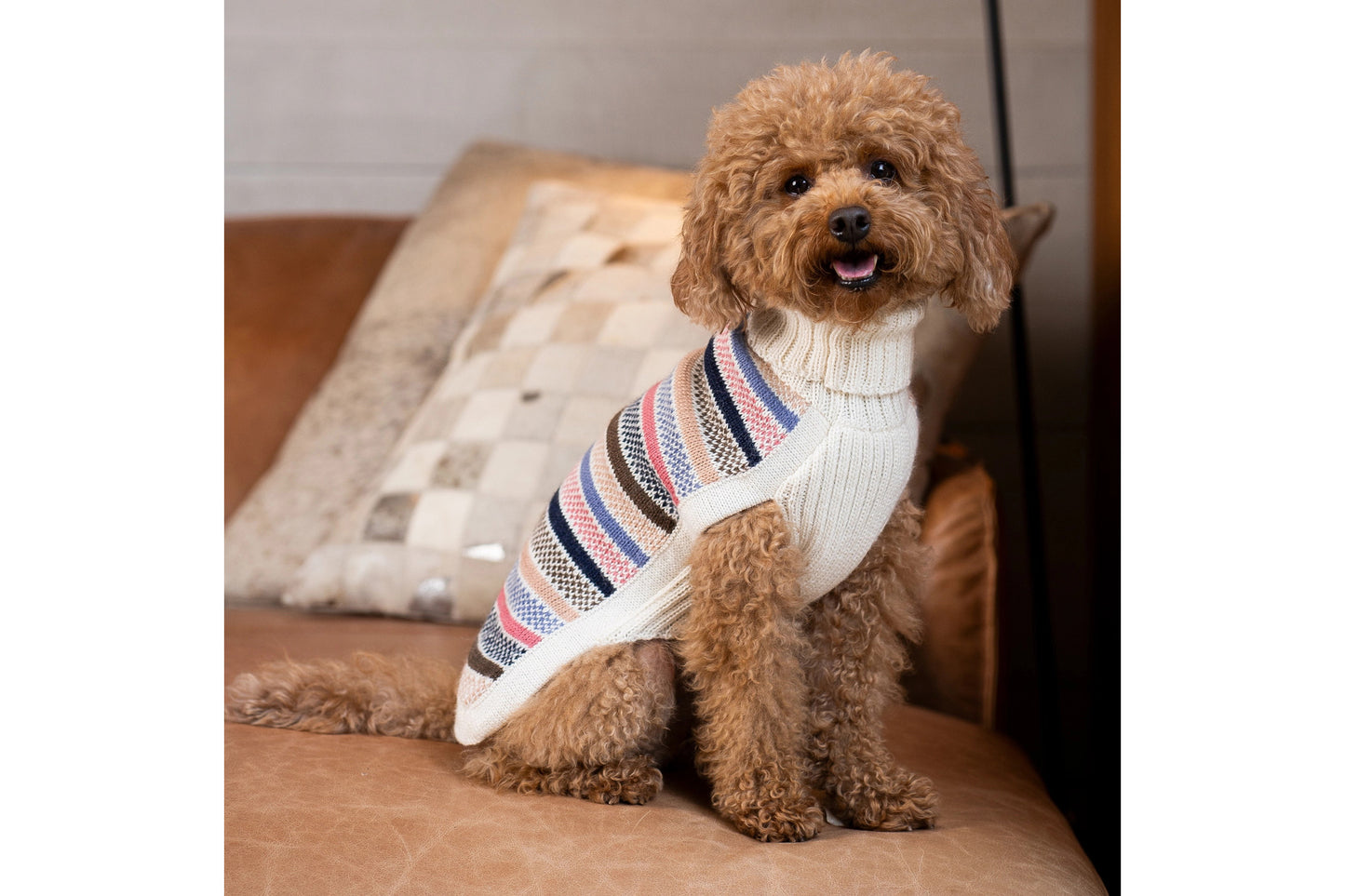 Dog Sweater - Blushline Stripe Alpaca Dog Sweater