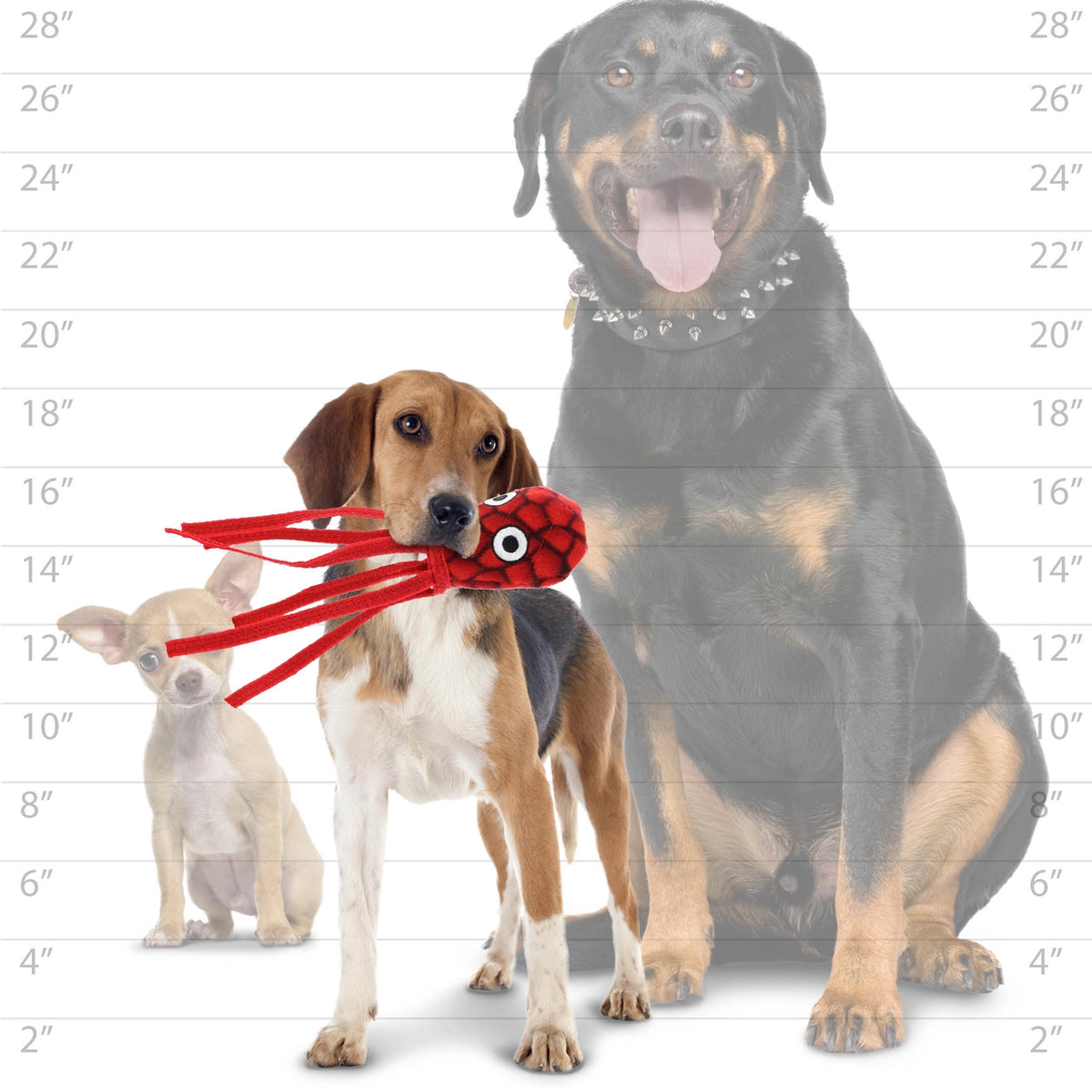 Mighty® Ocean - Jr. Squid - Dog Toy