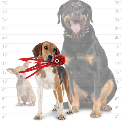 Mighty® Ocean - Jr. Squid - Dog Toy