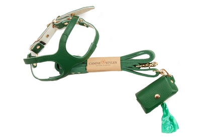 Canine Styles ALL Leather Step-in Harness - Three Piece Set - Leather Lead, Harness & Poop Bag Holder  - 10 Color Options