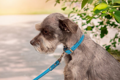 Auburn Dog Collar - Dog Collar, Soft Leather, 11 Colors, Additional Stainless Name Plate Available